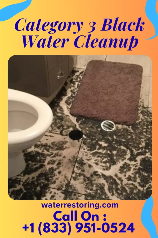 Category 3 Black Water Cleanup in Twinsburg Heights, OH