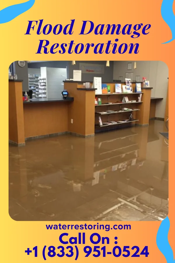 Flood Damage Restoration in Twinsburg Heights, OH