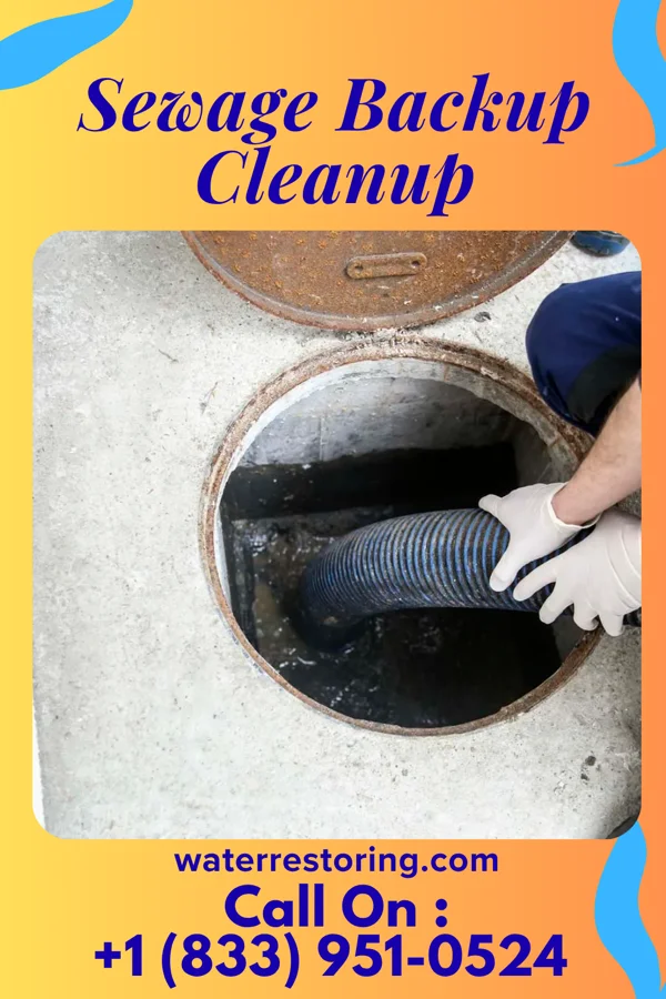Sewage Backup Cleanup in Twinsburg Heights, OH