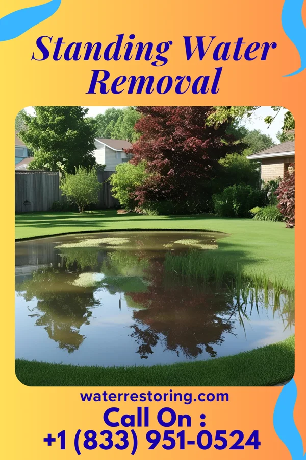 Standing Water Removal in Twinsburg Heights, OH